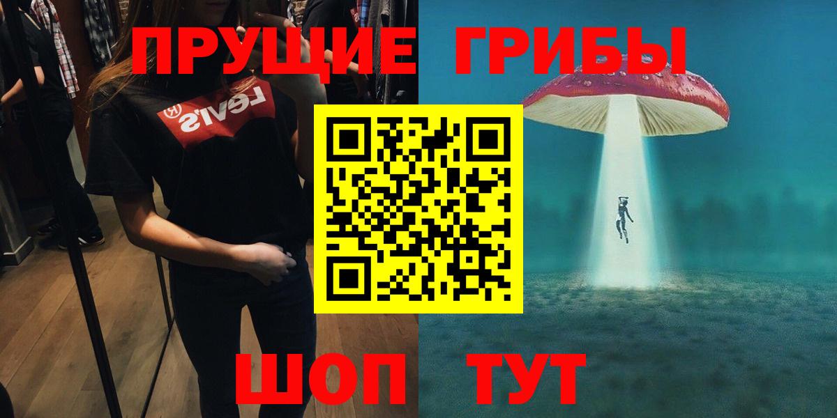 Псилоцибиновые грибы Psilocybe Лысьва